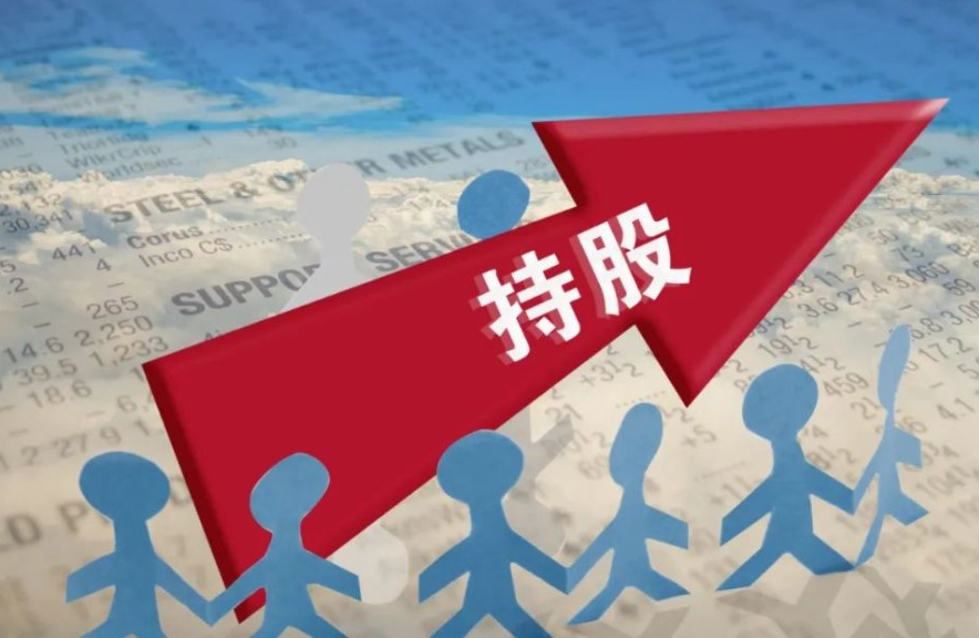 专业股票配资公司的服务范围与特色解析